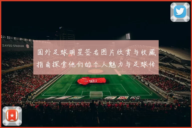 国外足球明星签名图片欣赏与收藏指南探索他们的个人魅力与足球传奇