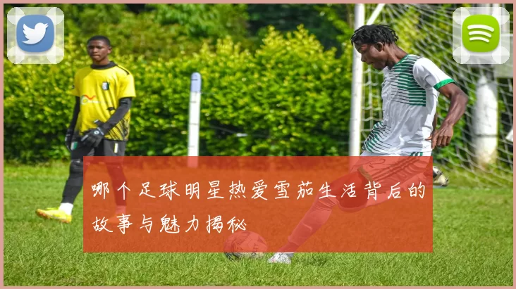 哪个足球明星热爱雪茄生活背后的故事与魅力揭秘