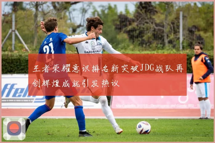王者荣耀意识排名新突破JDG战队再创辉煌成就引发热议
