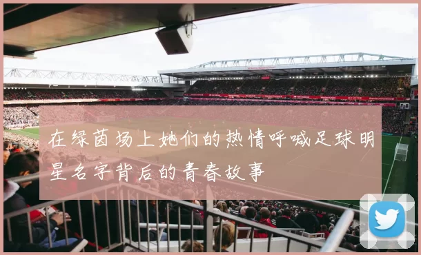 在绿茵场上她们的热情呼喊足球明星名字背后的青春故事