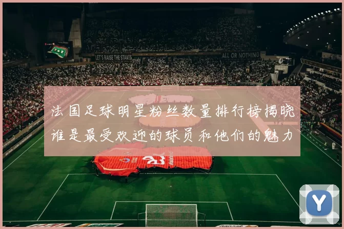 法国足球明星粉丝数量排行榜揭晓谁是最受欢迎的球员和他们的魅力秘诀