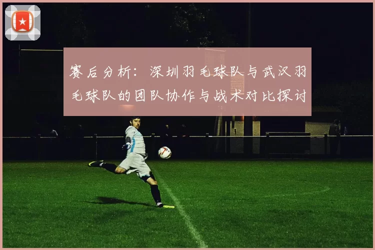 赛后分析：深圳羽毛球队与武汉羽毛球队的团队协作与战术对比探讨
