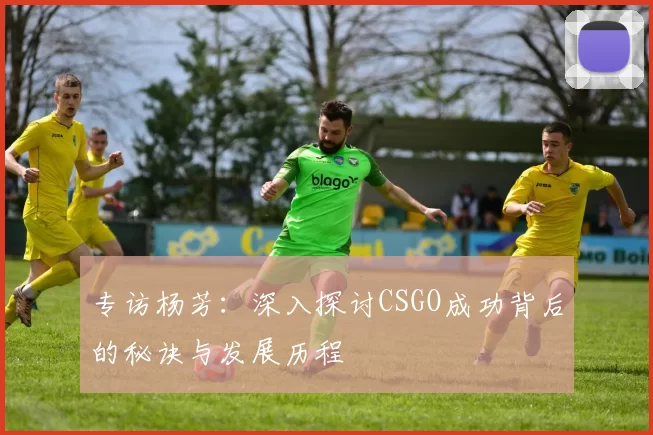 专访杨芳：深入探讨CSGO成功背后的秘诀与发展历程