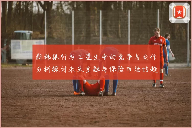 新韩银行与三星生命的竞争与合作分析探讨未来金融与保险市场的趋势