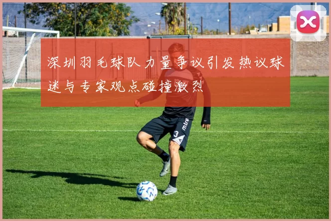 深圳羽毛球队力量争议引发热议球迷与专家观点碰撞激烈