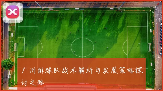 广州排球队战术解析与发展策略探讨之路