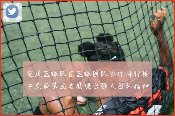 重庆篮球队在篮球团队协作排行榜中荣获第五名展现出强大团队精神与实力