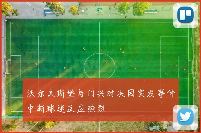 沃尔夫斯堡与门兴对决因突发事件中断球迷反应热烈