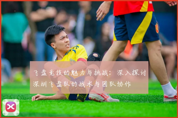 飞盘竞技的魅力与挑战：深入探讨深圳飞盘队的战术与团队协作