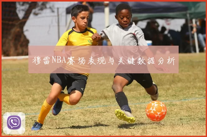 穆雷NBA赛场表现与关键数据分析