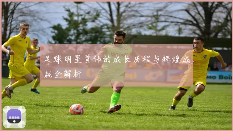 足球明星贾伟的成长历程与辉煌成就全解析