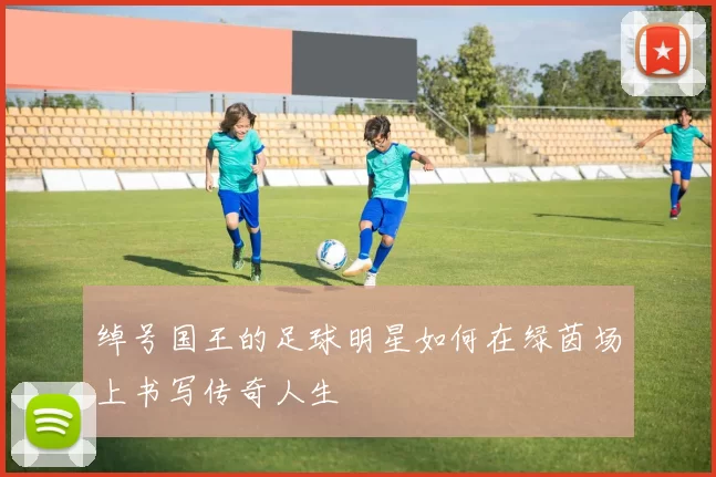 绰号国王的足球明星如何在绿茵场上书写传奇人生