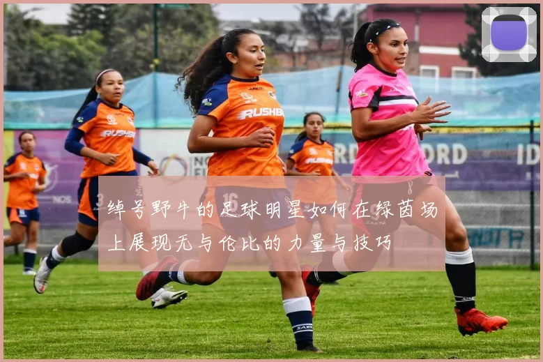 绰号野牛的足球明星如何在绿茵场上展现无与伦比的力量与技巧