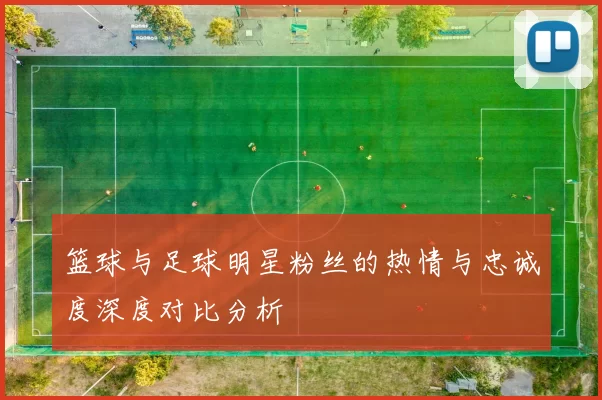 篮球与足球明星粉丝的热情与忠诚度深度对比分析