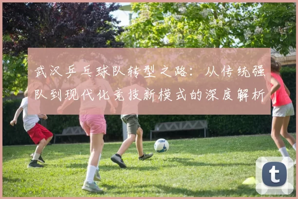 武汉乒乓球队转型之路：从传统强队到现代化竞技新模式的深度解析