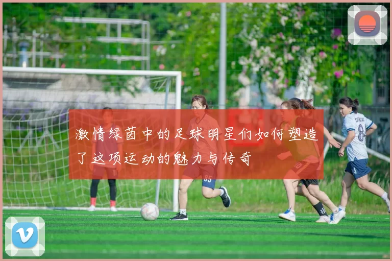 激情绿茵中的足球明星们如何塑造了这项运动的魅力与传奇