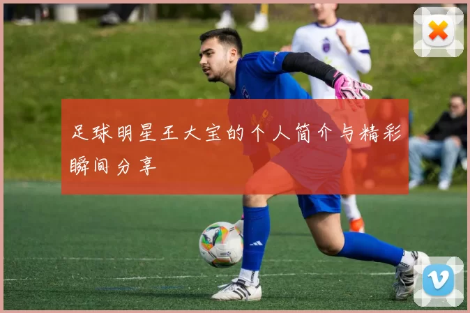 足球明星王大宝的个人简介与精彩瞬间分享