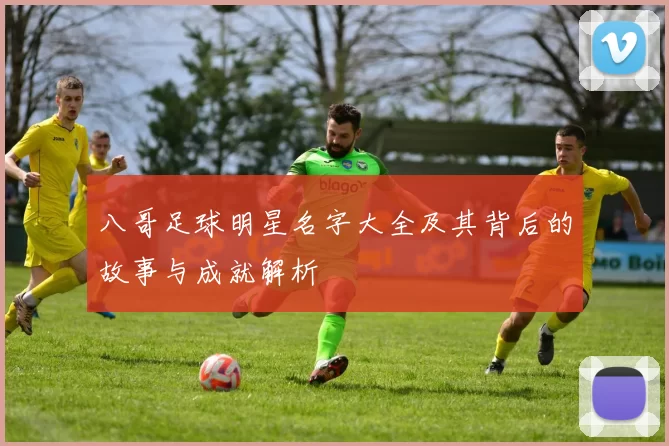 八哥足球明星名字大全及其背后的故事与成就解析