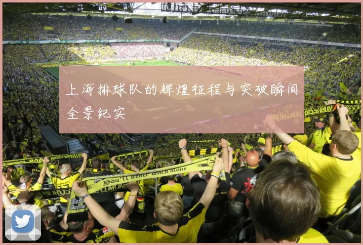 上海排球队的辉煌征程与突破瞬间全景纪实