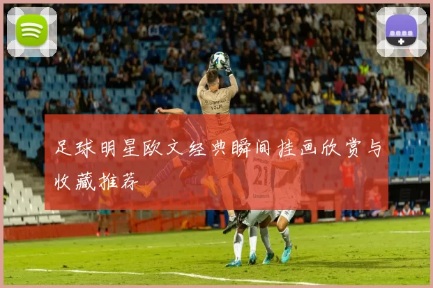 足球明星欧文经典瞬间挂画欣赏与收藏推荐