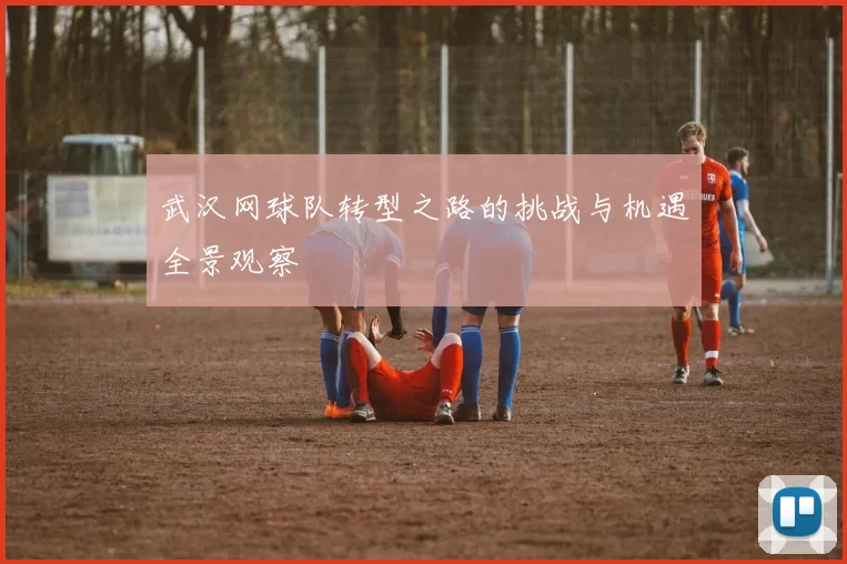 武汉网球队转型之路的挑战与机遇全景观察