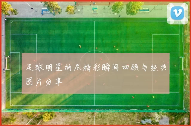 足球明星纳尼精彩瞬间回顾与经典图片分享