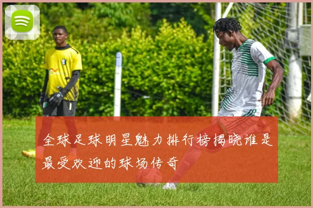全球足球明星魅力排行榜揭晓谁是最受欢迎的球场传奇
