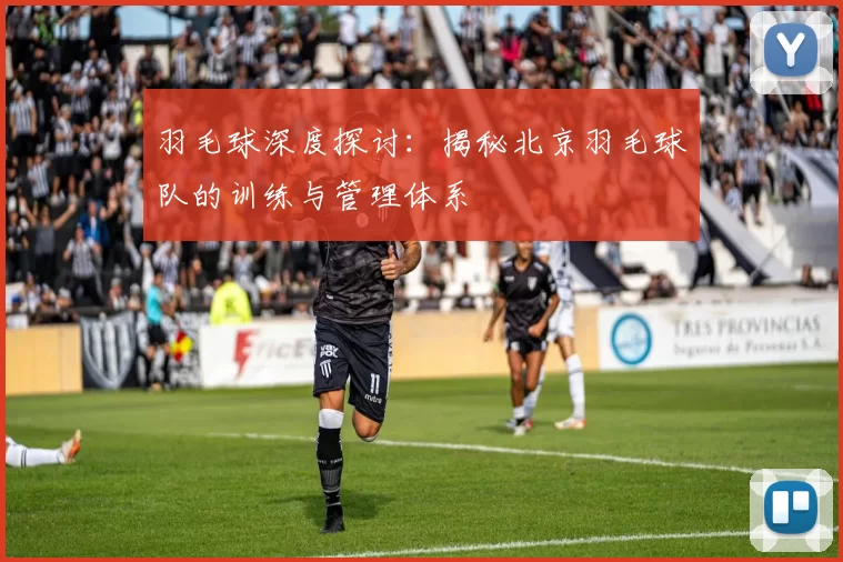 羽毛球深度探讨：揭秘北京羽毛球队的训练与管理体系